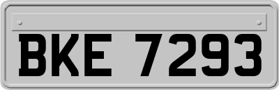 BKE7293