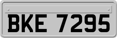BKE7295