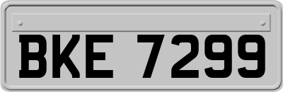 BKE7299