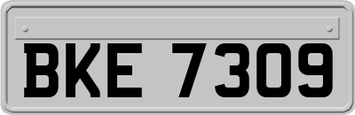 BKE7309
