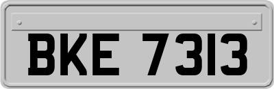 BKE7313