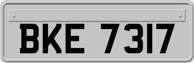 BKE7317
