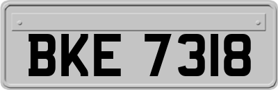 BKE7318