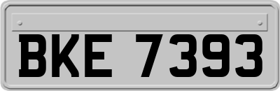 BKE7393