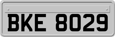 BKE8029