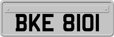 BKE8101