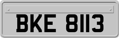 BKE8113