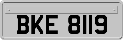 BKE8119