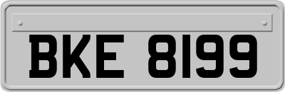BKE8199