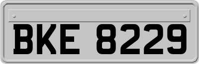 BKE8229