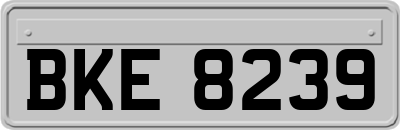 BKE8239