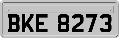 BKE8273