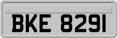 BKE8291