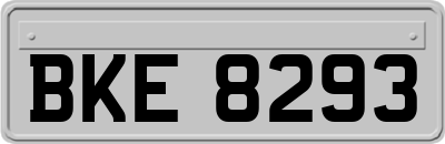 BKE8293
