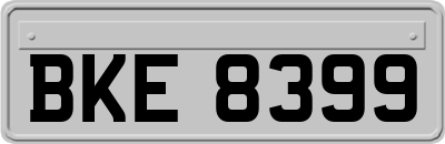BKE8399