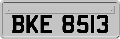 BKE8513