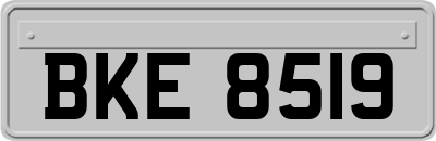BKE8519