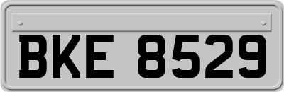 BKE8529
