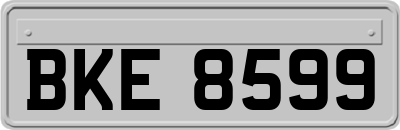 BKE8599