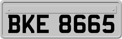 BKE8665