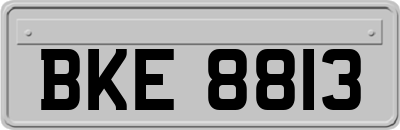 BKE8813
