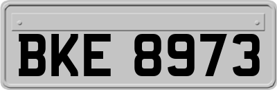 BKE8973