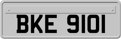 BKE9101