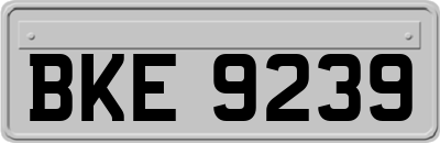 BKE9239
