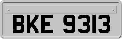 BKE9313