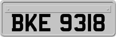 BKE9318