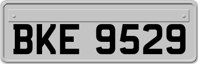 BKE9529