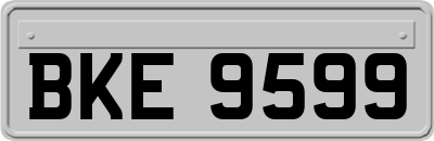 BKE9599