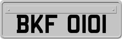 BKF0101