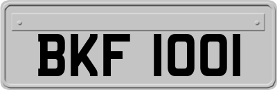 BKF1001