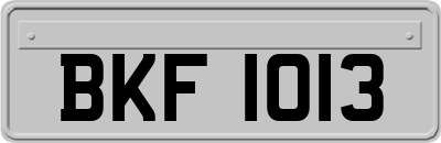 BKF1013