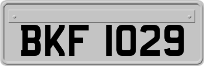 BKF1029