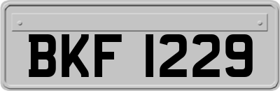BKF1229