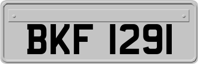 BKF1291