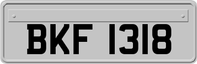 BKF1318