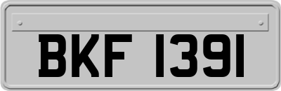 BKF1391