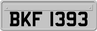 BKF1393
