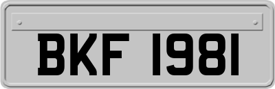 BKF1981