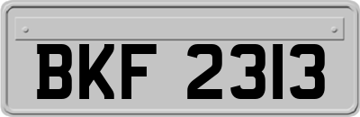 BKF2313