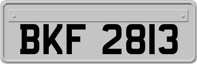 BKF2813
