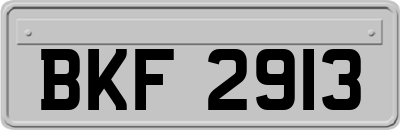BKF2913