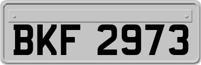 BKF2973