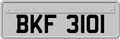 BKF3101