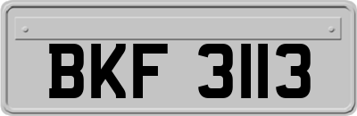 BKF3113