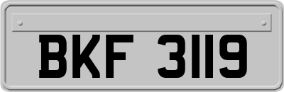 BKF3119