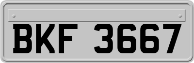 BKF3667